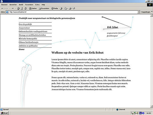 Erik Schut Homepage