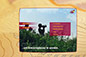 Mirador Media Homepage