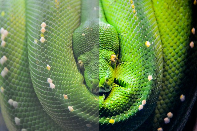 7 Fouten met afbeeldingen die te voorkomen zijn / Grote afbeeldingen, fotocarousels en fotoboeken zijn momenteel hot in webdesign. Er kan veel misgaan met beeldmateriaal. Veel fouten zijn te voorkomen.