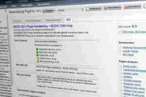 Nieuw: de MODX SEO plugin / Er is zoveel om aan te denken als je de content van je website gaat optimaliseren voor zoekmachines. Je zou wel wat hulp kunnen gebruiken... van een MODX SEO Plugin.