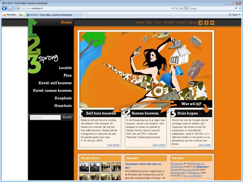 Op de homepage worden recente activiteiten op Facebook, Twitter en Flickr getoond.